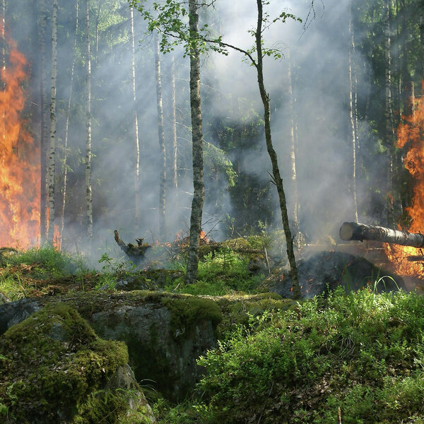 This wildfire season is the worst on record in the last 30 years