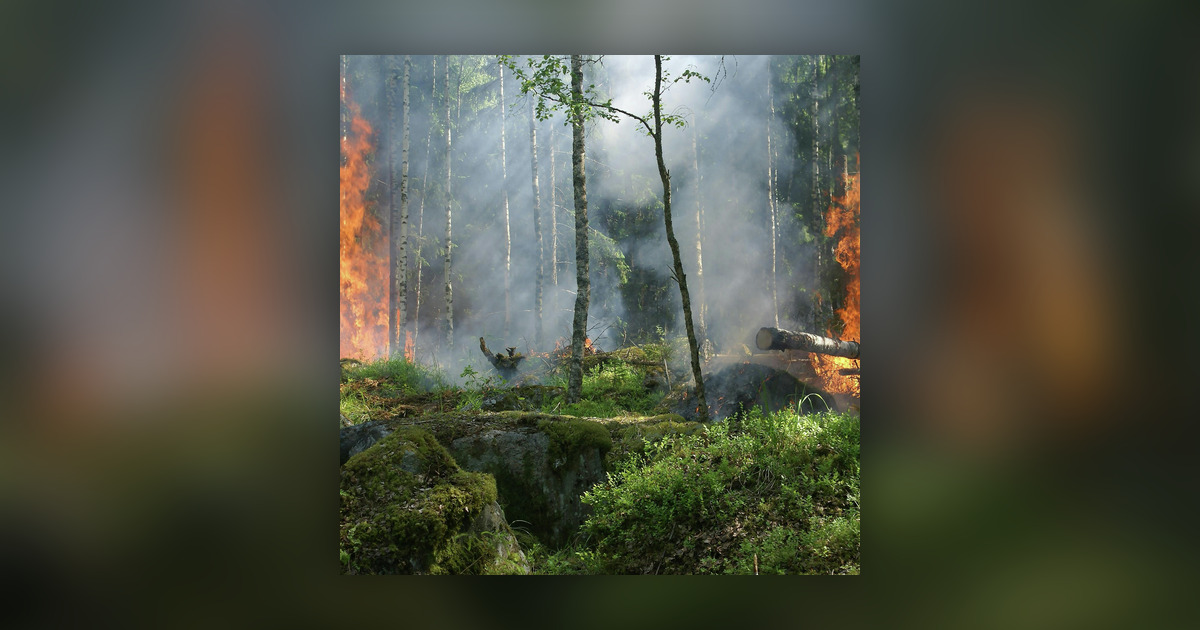 This Wildfire Season Is The WORST On Record In The Last 30 Years This wildfire season is the worst on record in the last 30 years