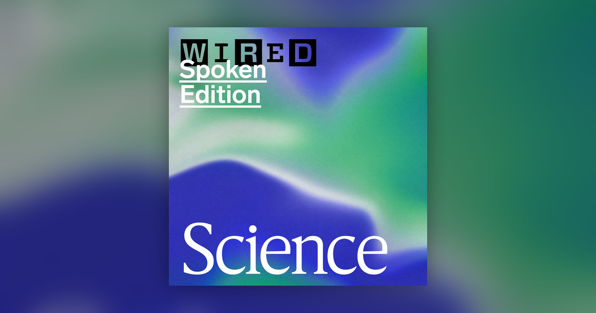 Wire Rd Science The Untold Story of Neuroscience’s Most Famous Brain - WIRED Science ...