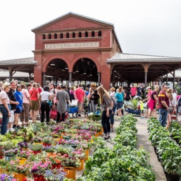 What Day Is Flower At Eastern Market Best Flower Site