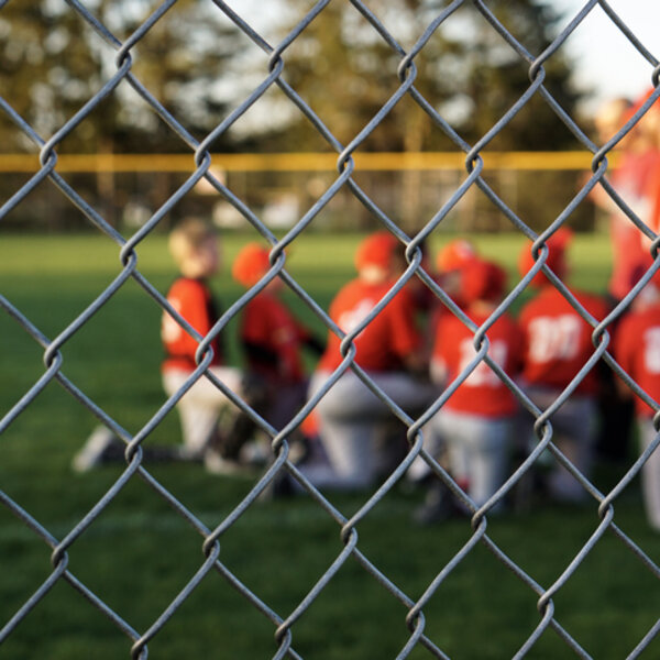 Travel Baseball Wixom