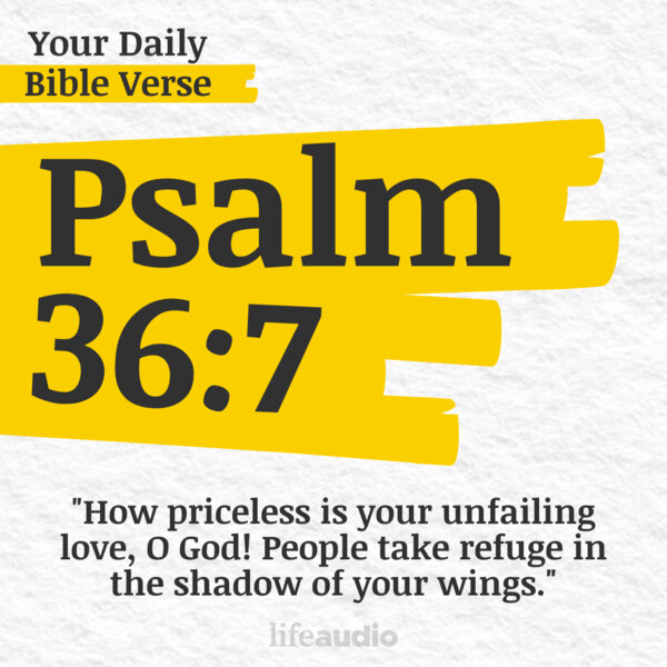 Finding Refuge in God Alone (Psalm 36:7) - Your Daily Bible Verse - Omny.fm