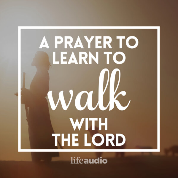 A Prayer to Learn to Walk with the Lord - Your Daily Prayer - Omny.fm